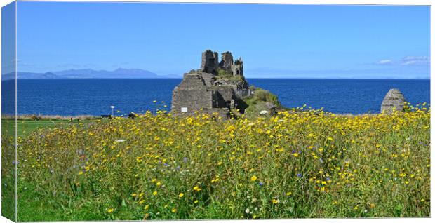 Dunure Castle and wilf flower bed Canvas Print by Allan Durward Photography