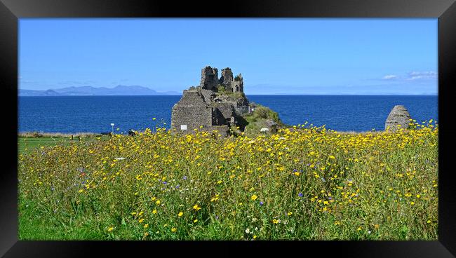 Dunure Castle and wilf flower bed Framed Print by Allan Durward Photography