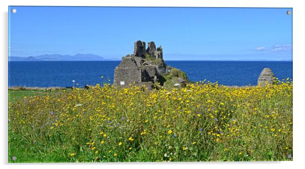 Dunure Castle and wilf flower bed Acrylic by Allan Durward Photography