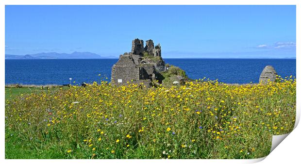 Dunure Castle and wilf flower bed Print by Allan Durward Photography