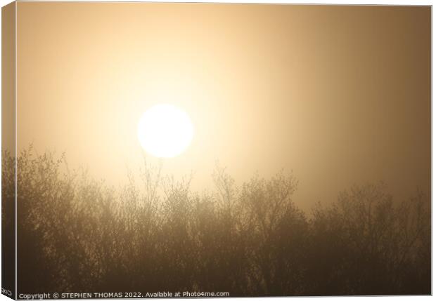 Foggy Morning Sun Canvas Print by STEPHEN THOMAS