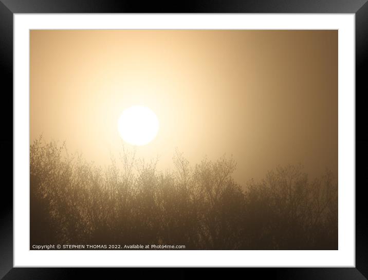 Foggy Morning Sun Framed Mounted Print by STEPHEN THOMAS