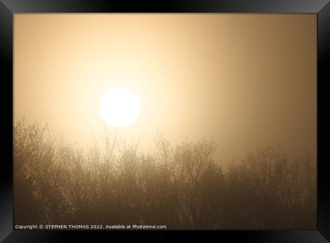 Foggy Morning Sun Framed Print by STEPHEN THOMAS