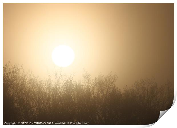 Foggy Morning Sun Print by STEPHEN THOMAS