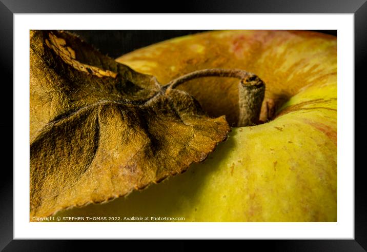 Autumn Apple II Framed Mounted Print by STEPHEN THOMAS