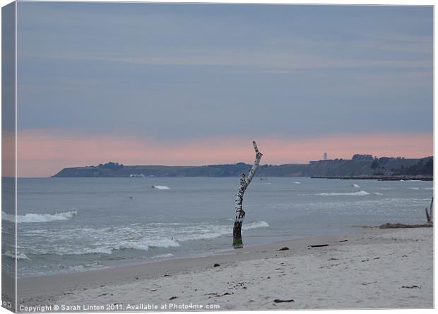 Löderup beach at sunset Canvas Print by Sarah Osterman