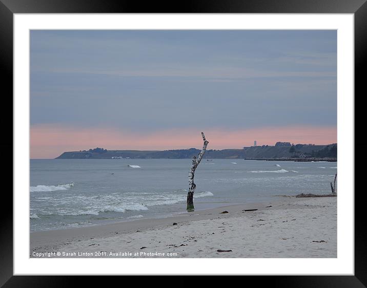 Löderup beach at sunset Framed Mounted Print by Sarah Osterman