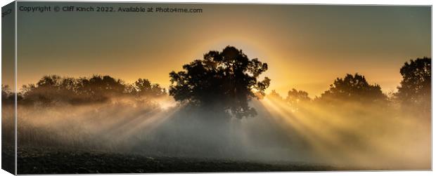 Majestic Sunrise Canvas Print by Cliff Kinch