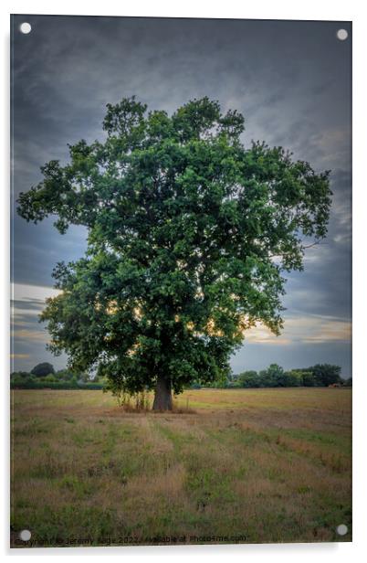 The Majestic Oak Acrylic by Jeremy Sage