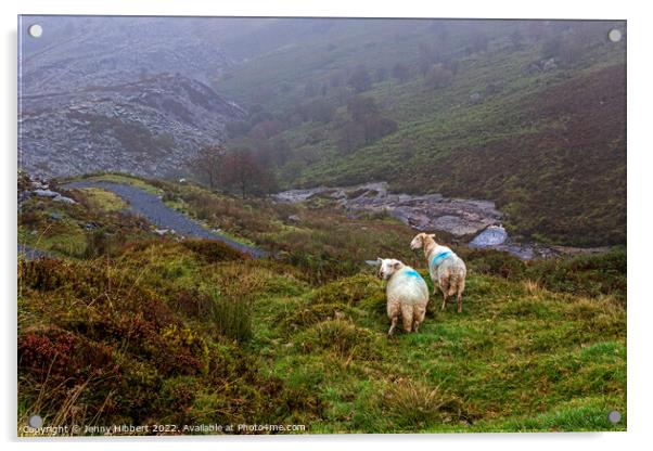 Sheep looking down to Penmachno Quarry, Betws-y-Coed Acrylic by Jenny Hibbert