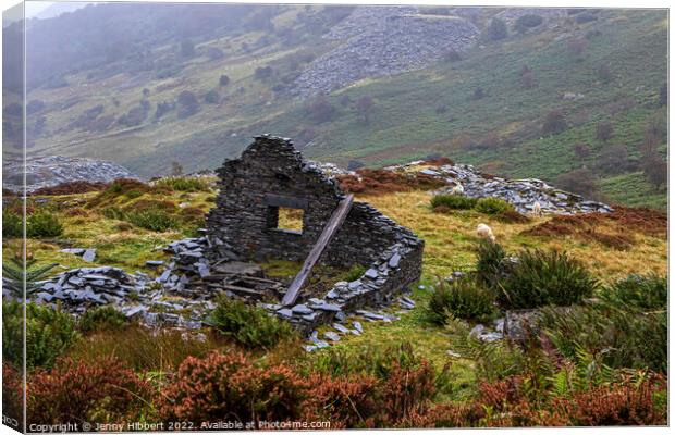 Ruined building in Penmachno slate Quarry North Wales Canvas Print by Jenny Hibbert