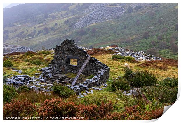 Ruined building in Penmachno slate Quarry North Wales Print by Jenny Hibbert