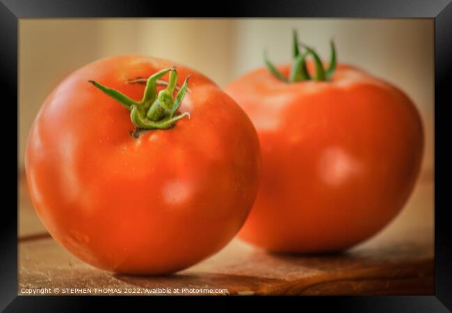Two Tomatoes Framed Print by STEPHEN THOMAS