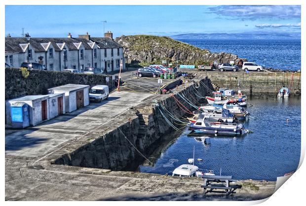Dunure harbour South Ayrshire Print by Allan Durward Photography