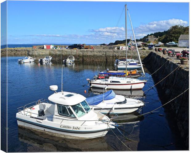 Small craft at Dunure Canvas Print by Allan Durward Photography