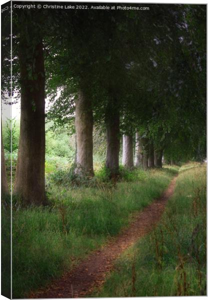 The Tree-lined Path Canvas Print by Christine Lake