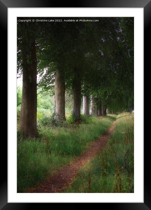 The Tree-lined Path Framed Mounted Print by Christine Lake