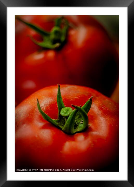Tomato Top Framed Mounted Print by STEPHEN THOMAS