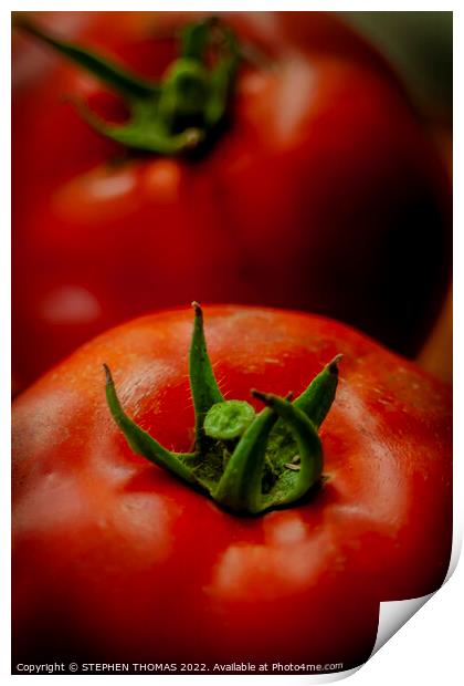 Tomato Top Print by STEPHEN THOMAS