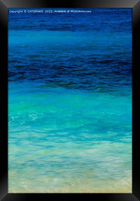 SEA BEAUTY Framed Print by CATSPAWS 