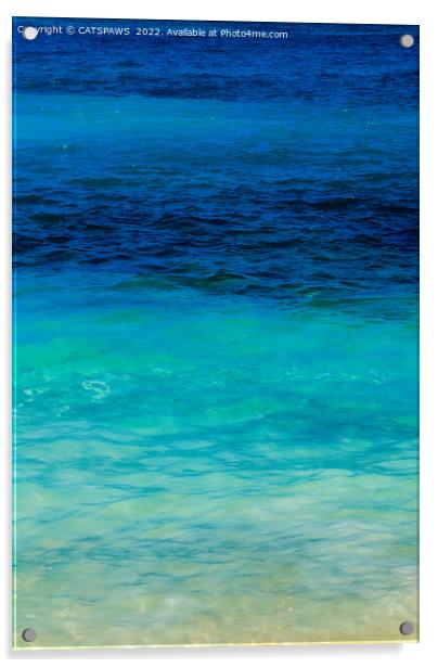 SEA BEAUTY Acrylic by CATSPAWS 