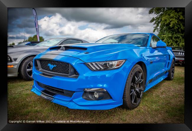 2017 Mustang GT 500 Blue Framed Print by Darren Wilkes