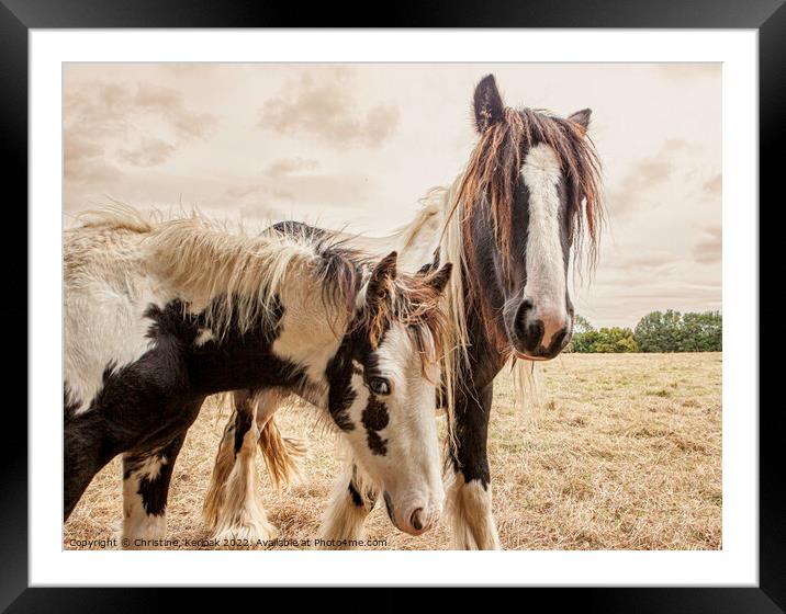 Shaggy Ponies Framed Mounted Print by Christine Kerioak