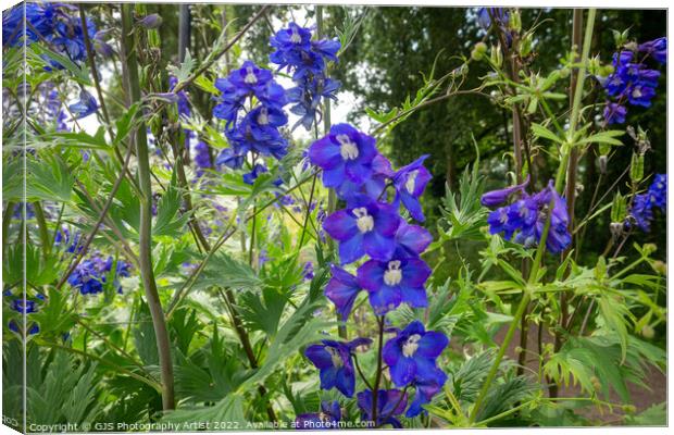 Tall and Blue Canvas Print by GJS Photography Artist