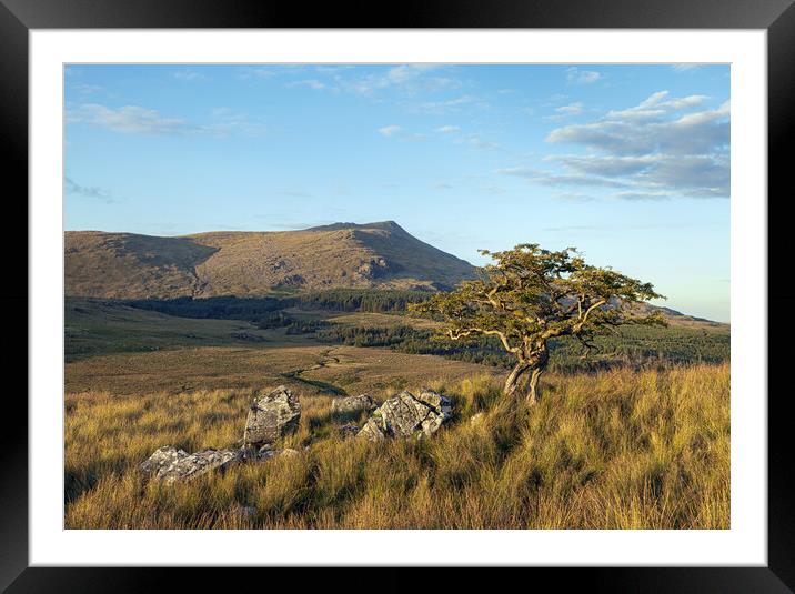 Moel Siabod Framed Mounted Print by Rory Trappe