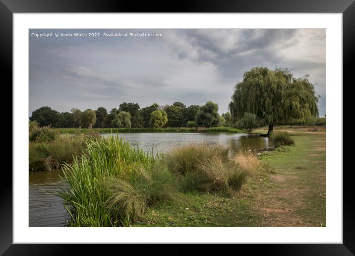 Bushy Park at start of autumn Framed Mounted Print by Kevin White
