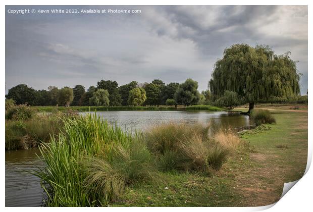 Bushy Park at start of autumn Print by Kevin White