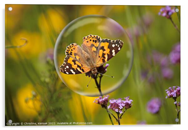 Painted Lady in a Bubble Acrylic by Christine Kerioak