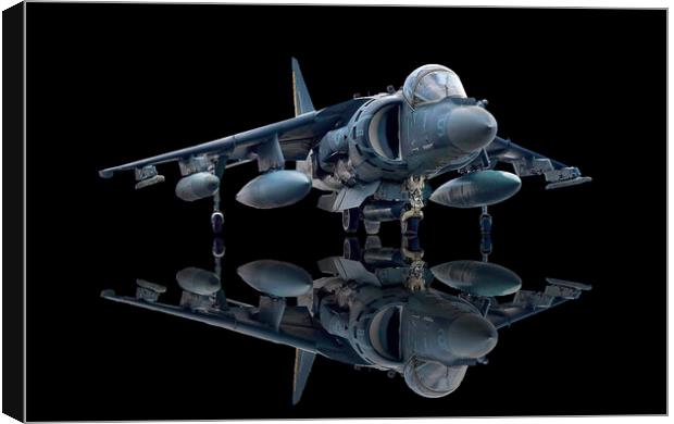 Harrier Jet Canvas Print by Alison Chambers