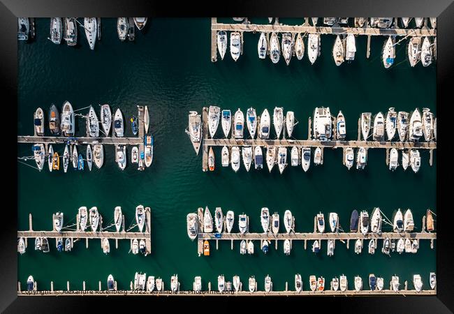 Aerial top down view of many luxurious yachts moored in marina Framed Print by Alexandre Rotenberg
