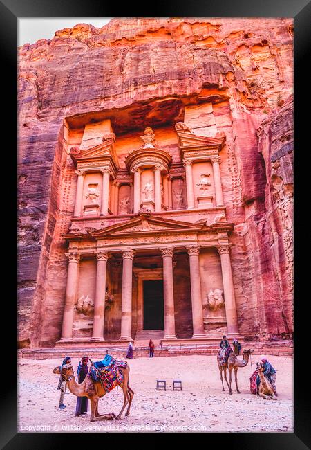 Rose Red Treasury Afternoon Camels Siq Petra Jordan  Framed Print by William Perry