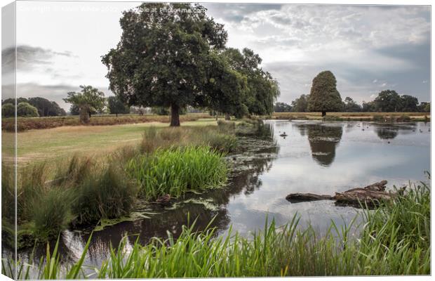 Oasis of beauty near London Canvas Print by Kevin White