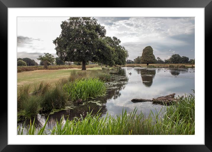 Oasis of beauty near London Framed Mounted Print by Kevin White