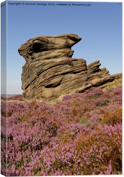 Portrait of Owler Tor in the Peak District surrounded by pink heather  Canvas Print by Duncan Savidge