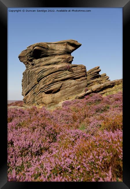 Portrait of Owler Tor in the Peak District surrounded by pink heather  Framed Print by Duncan Savidge