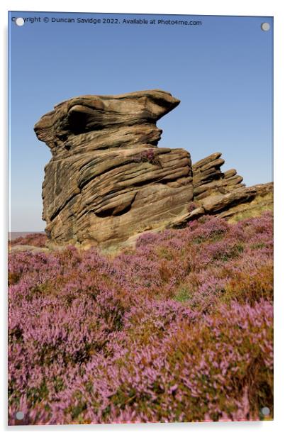 Portrait of Owler Tor in the Peak District surrounded by pink heather  Acrylic by Duncan Savidge