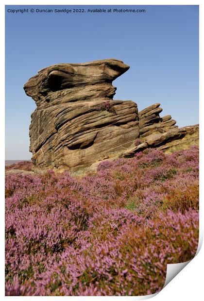 Portrait of Owler Tor in the Peak District surrounded by pink heather  Print by Duncan Savidge