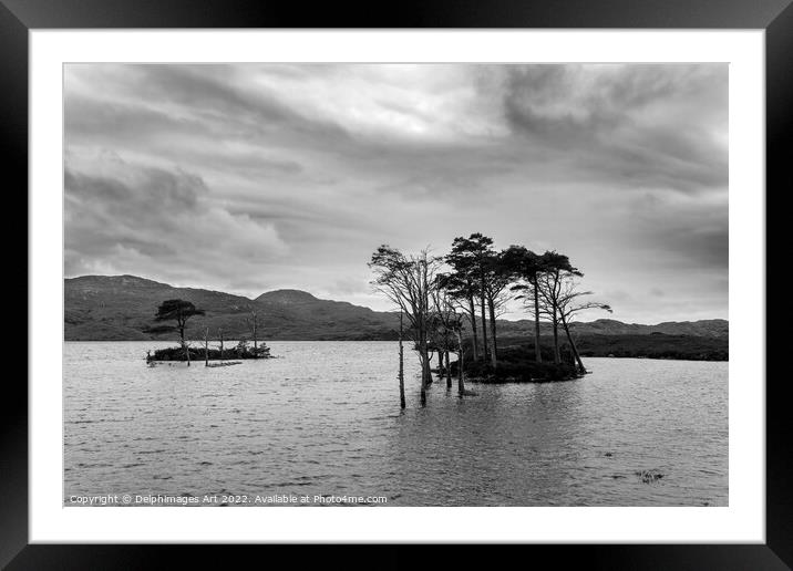 Loch Assynt in North West Highlands, Scotland, UK Framed Mounted Print by Delphimages Art