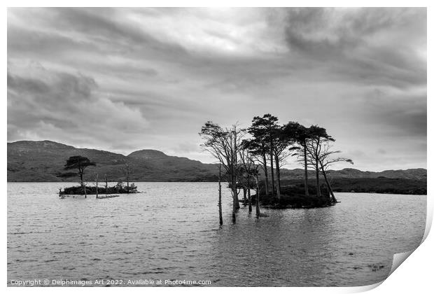 Loch Assynt in North West Highlands, Scotland, UK Print by Delphimages Art