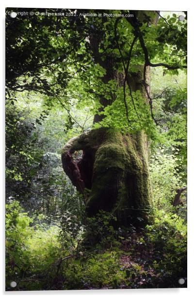 Heart Of The Forest Acrylic by Christine Lake