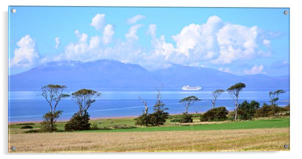 Cruise ship Ambition sailing past Portencross and  Acrylic by Allan Durward Photography