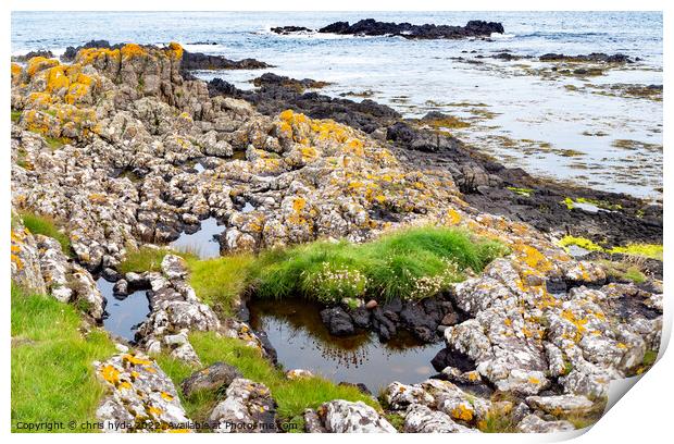 Rock pools on the foreshore Print by chris hyde