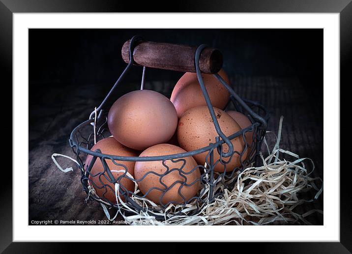Eggs in Wirebasket Framed Mounted Print by Pamela Reynolds
