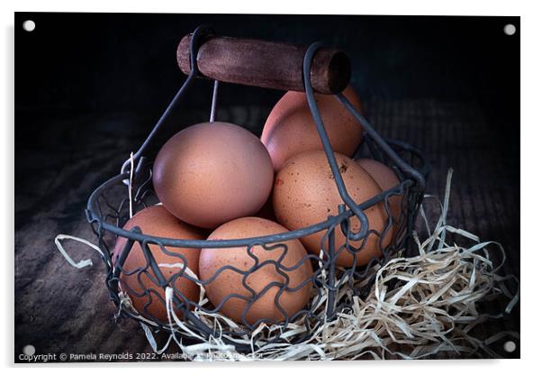 Eggs in Wirebasket Acrylic by Pamela Reynolds
