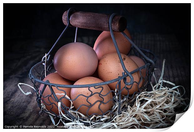 Eggs in Wirebasket Print by Pamela Reynolds
