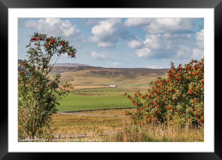 Towards Widdybank Farm and Fell, Teesdale Framed Mounted Print by Richard Laidler